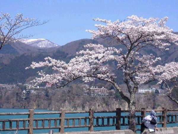 Hotel Kojokaku Katashina Экстерьер фото